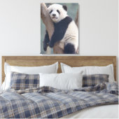 Kutest Baby Animals | Slaapstand Baby Panda-Beer Canvas Afdruk (Insitu (Slaapkamer))