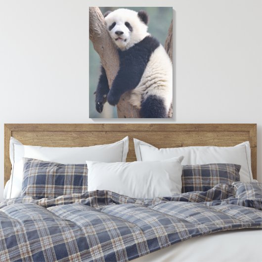 Kutest Baby Animals | Slaapstand Baby Panda-Beer Canvas Afdruk (Insitu (Slaapkamer))
