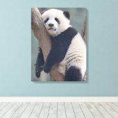 Kutest Baby Animals | Slaapstand Baby Panda-Beer Canvas Afdruk (Insitu (Houten vloer))