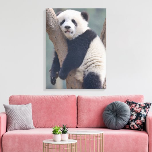 Kutest Baby Animals | Slaapstand Baby Panda-Beer Canvas Afdruk (Insitu (Woonkamer))