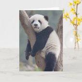 Kutest Baby Animals | Slaapstand Baby Panda-Beer Kaart (Gele Bloem)
