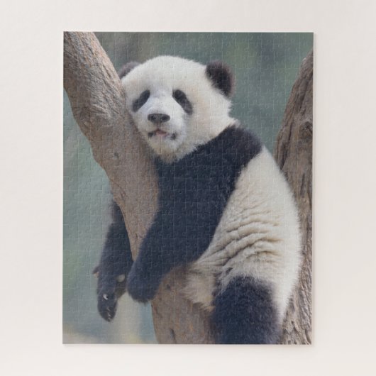 Kutest Baby Animals | Slaapstand Baby Panda-Beer Legpuzzel (Verticaal)