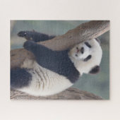 Kutest Baby Animals | Slaapstand Baby Panda-Beer Legpuzzel (Horizontaal)