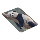 Kutest Baby Animals | Slaapstand Baby Panda-Beer Magneet (Rechterzijde)