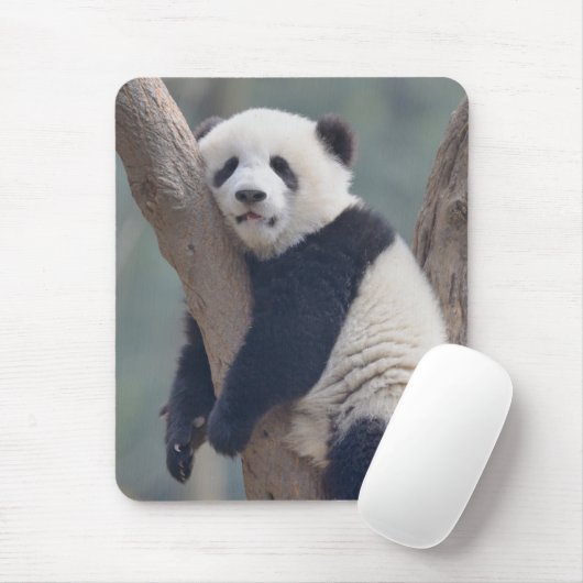 Kutest Baby Animals | Slaapstand Baby Panda-Beer Muismat (Met muis)
