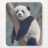 Kutest Baby Animals | Slaapstand Baby Panda-Beer Muismat (Voorkant)