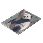 Kutest Baby Animals | Slaapstand Baby Panda-Beer Notitieboek (Linkerzijde)