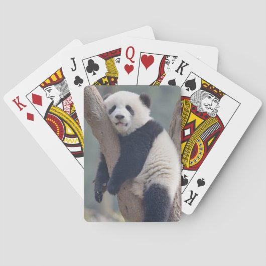 Kutest Baby Animals | Slaapstand Baby Panda-Beer Pokerkaarten (Achterkant)