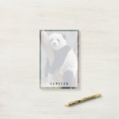 Kutest Baby Animals | Slaapstand Baby Panda-Beer Post-it® Notes (Op bureau)