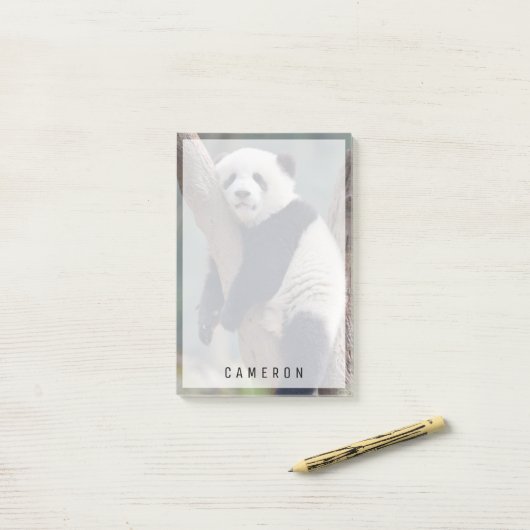 Kutest Baby Animals | Slaapstand Baby Panda-Beer Post-it® Notes (Op bureau)