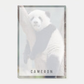 Kutest Baby Animals | Slaapstand Baby Panda-Beer Post-it® Notes (Voorkant)