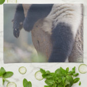 Kutest Baby Animals | Slaapstand Baby Panda-Beer Theedoek (Gevouwen)