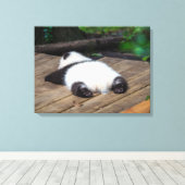 Kutest Baby Animals | Slaapstand van Baby Giant Pa Canvas Afdruk (Insitu (Houten vloer))