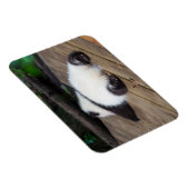 Kutest Baby Animals | Slaapstand van Baby Giant Pa Magneet (Rechterzijde)