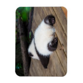 Kutest Baby Animals | Slaapstand van Baby Giant Pa Magneet (Verticaal)