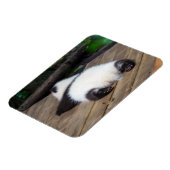 Kutest Baby Animals | Slaapstand van Baby Giant Pa Magneet (Linkerzijde)