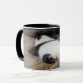 Kutest Baby Animals | Slaapstand van Baby Giant Pa Mok (Voorkant links)