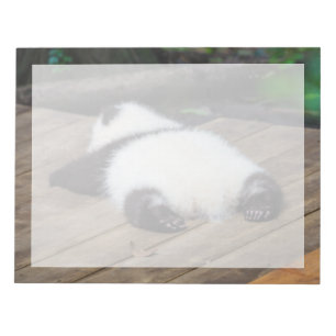 Kutest Baby Animals Slaapstand van Baby Giant Pa Notitieblok