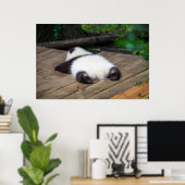 Kutest Baby Animals | Slaapstand van Baby Giant Pa Poster (Thuiskantoor)