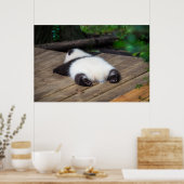 Kutest Baby Animals | Slaapstand van Baby Giant Pa Poster (Keuken)