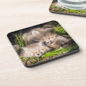 Kutest Baby Animals | Slaapstand van de Baby Red F Bier Onderzetter (Linkerzijde)