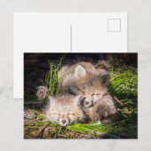 Kutest Baby Animals | Slaapstand van de Baby Red F Briefkaart (Voorkant / Achterkant)