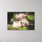 Kutest Baby Animals | Slaapstand van de Baby Red F Canvas Afdruk (Voorkant)