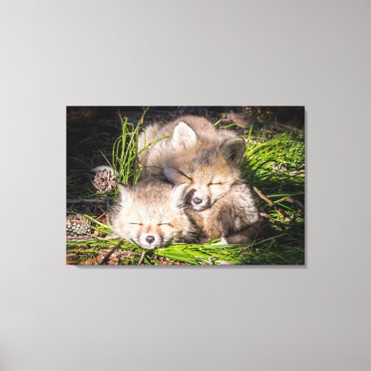 Kutest Baby Animals | Slaapstand van de Baby Red F Canvas Afdruk (Voorkant)