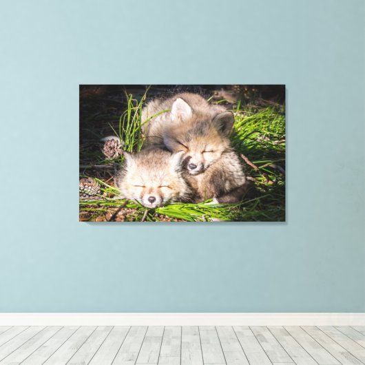 Kutest Baby Animals | Slaapstand van de Baby Red F Canvas Afdruk (Insitu (Houten vloer))