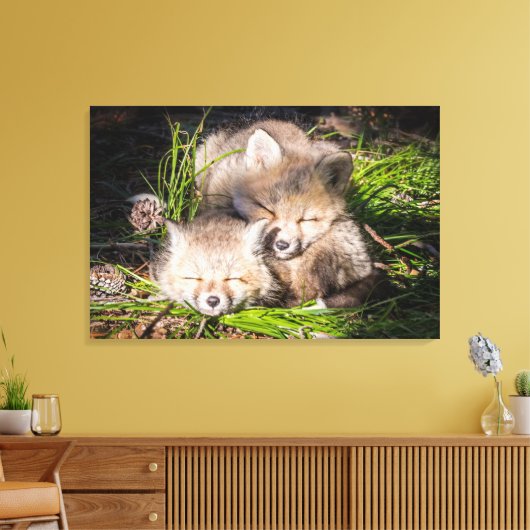 Kutest Baby Animals | Slaapstand van de Baby Red F Canvas Afdruk (Insitu (Woonkamer))