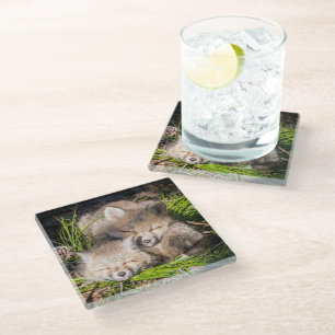 Kutest Baby Animals   Slaapstand van de Baby Red F Glazen Onderzetter