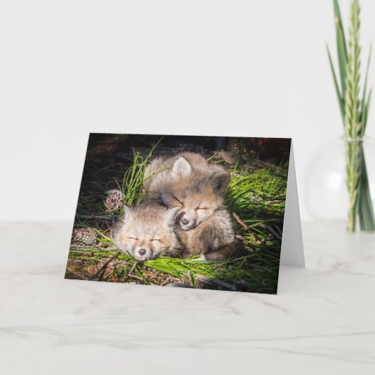 Kutest Baby Animals | Slaapstand van de Baby Red F Kaart (Voorkant)