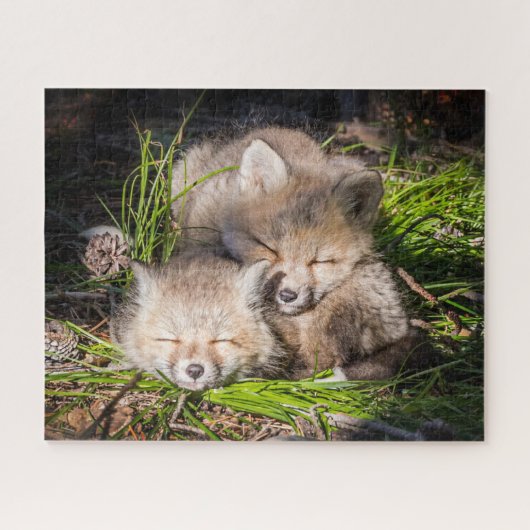 Kutest Baby Animals | Slaapstand van de Baby Red F Legpuzzel (Horizontaal)