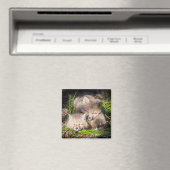 Kutest Baby Animals | Slaapstand van de Baby Red F Magneet (Insitu (Vaatwasser))