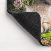 Kutest Baby Animals | Slaapstand van de Baby Red F Muismat (Hoek)