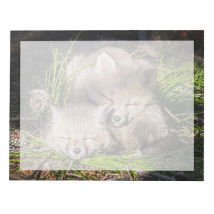 Kutest Baby Animals Slaapstand van de Baby Red F Notitieblok