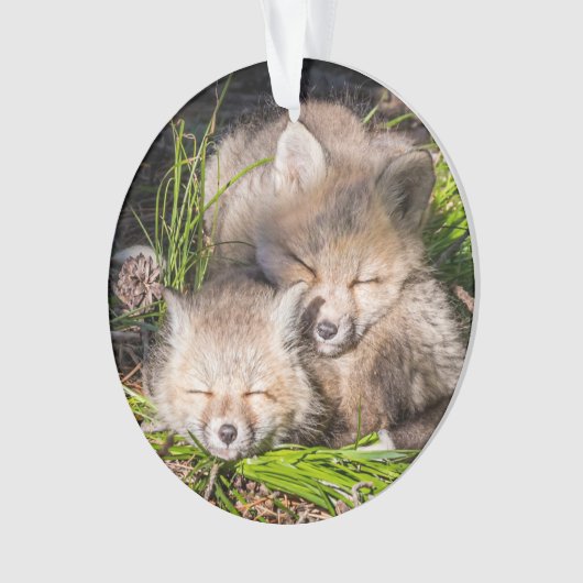 Kutest Baby Animals | Slaapstand van de Baby Red F Ornament (voorkant)