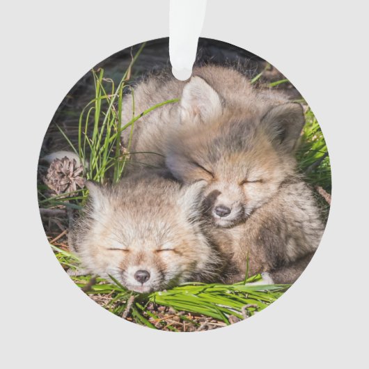 Kutest Baby Animals | Slaapstand van de Baby Red F Ornament (voorkant)