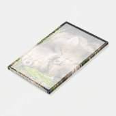 Kutest Baby Animals | Slaapstand van de Baby Red F Post-it® Notes (Schuin)