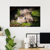 Kutest Baby Animals | Slaapstand van de Baby Red F Poster (Thuiskantoor)