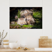 Kutest Baby Animals | Slaapstand van de Baby Red F Poster (Keuken)