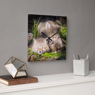 Kutest Baby Animals   Slaapstand van de Baby Red F Vierkante Klok