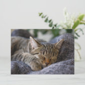 Kutest Baby Animals | Slapen van Tabby Kitten Bedankkaart (Staand voorkant)