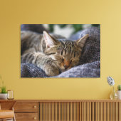 Kutest Baby Animals | Slapen van Tabby Kitten Canvas Afdruk (Insitu (Woonkamer))