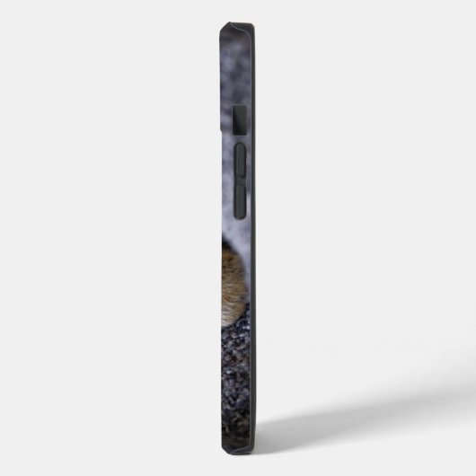 Kutest Baby Animals | Slapen van Tabby Kitten Case-Mate iPhone Case (Achterkant / Links)