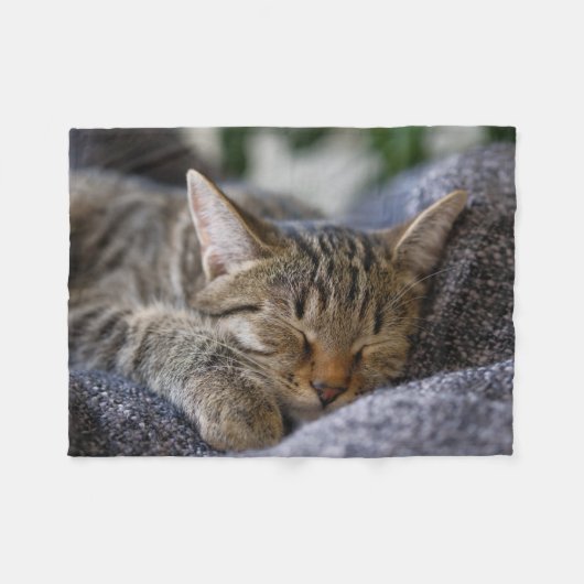 Kutest Baby Animals | Slapen van Tabby Kitten Fleece Deken (Voorkant (Horizontaal))