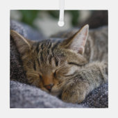 Kutest Baby Animals | Slapen van Tabby Kitten Glas Ornament (Achterkant)