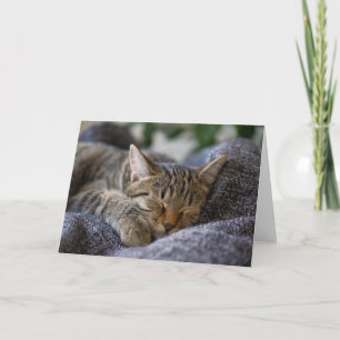 Kutest Baby Animals Slapen van Tabby Kitten Kaart