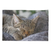 Kutest Baby Animals | Slapen van Tabby Kitten Kussensloop (Achterkant)