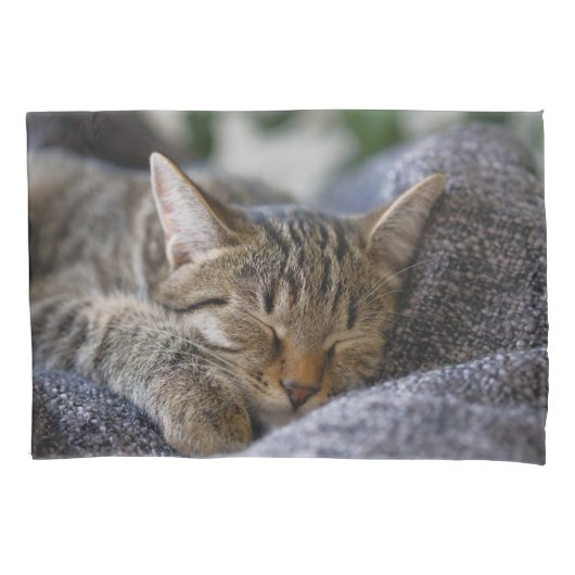 Kutest Baby Animals | Slapen van Tabby Kitten Kussensloop (Voorkant)